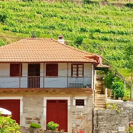 Gasthaus D. Maria Sao Pedro De Balsemao Lamego Exterior foto