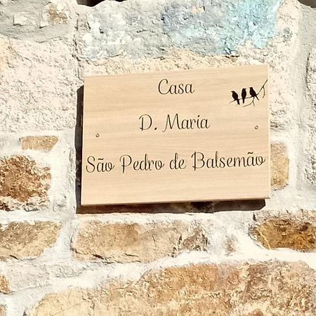 Gasthaus D. Maria Sao Pedro De Balsemao Lamego Exterior foto