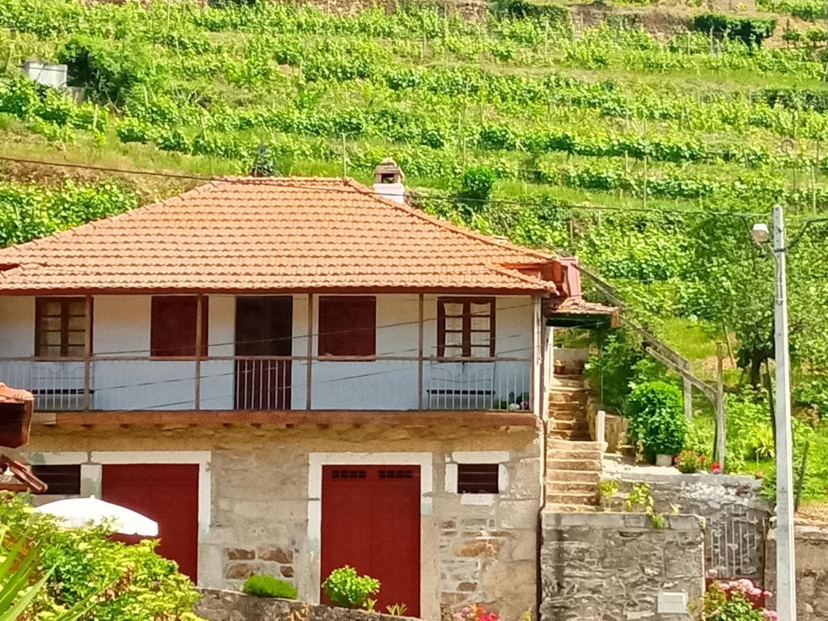 Gasthaus D. Maria Sao Pedro De Balsemao Lamego Exterior foto