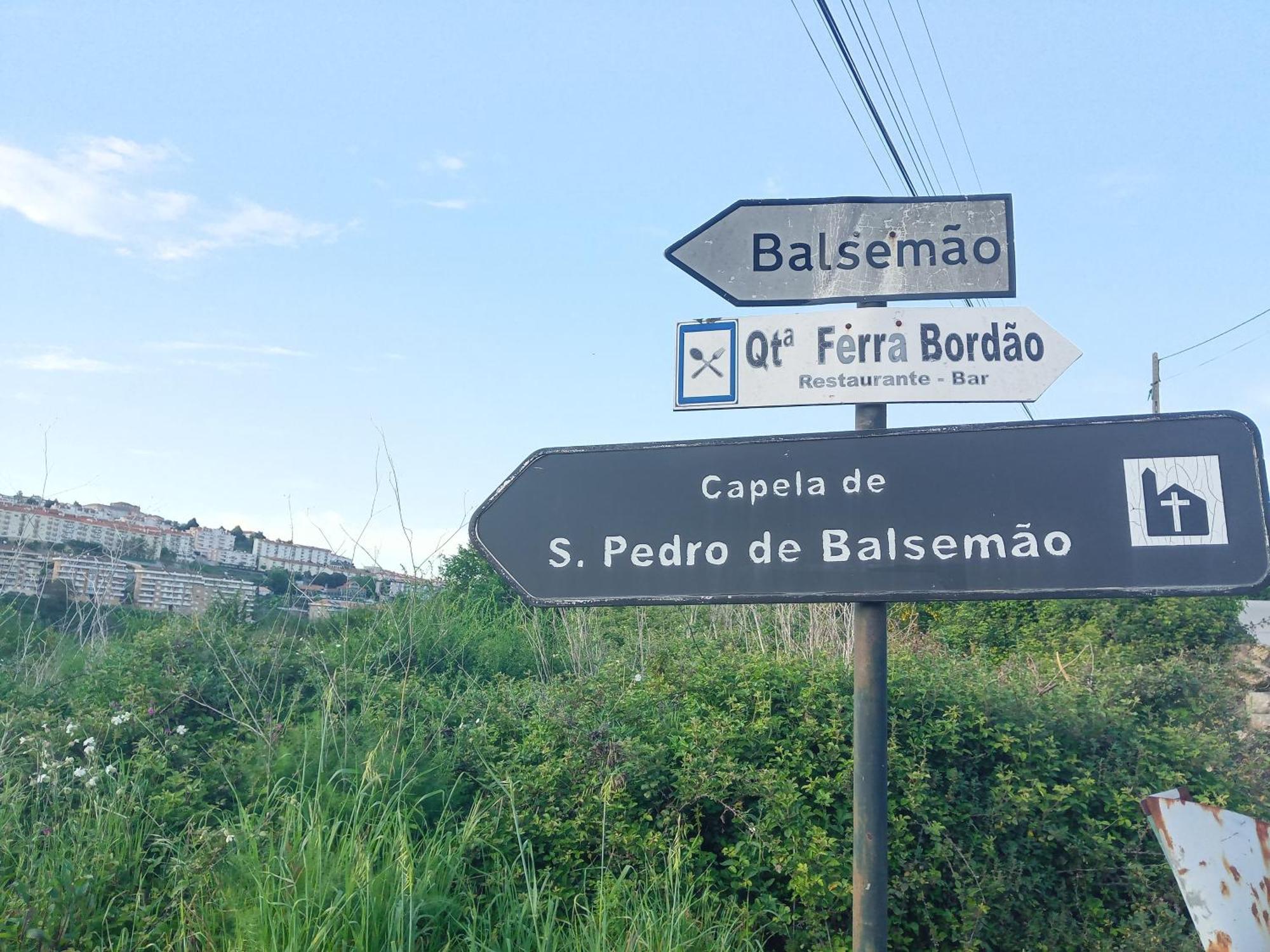 Gasthaus D. Maria Sao Pedro De Balsemao Lamego Exterior foto