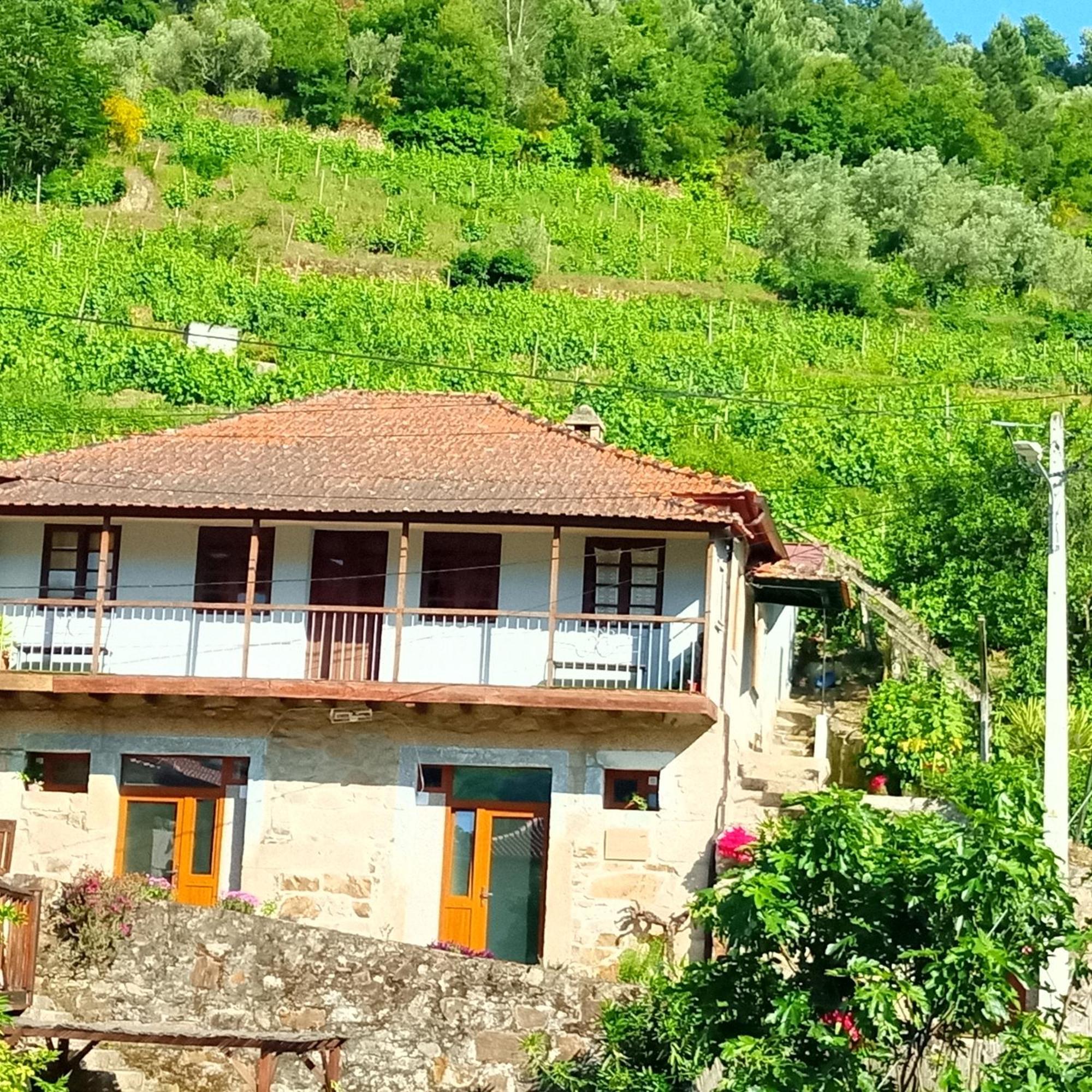 Gasthaus D. Maria Sao Pedro De Balsemao Lamego Exterior foto